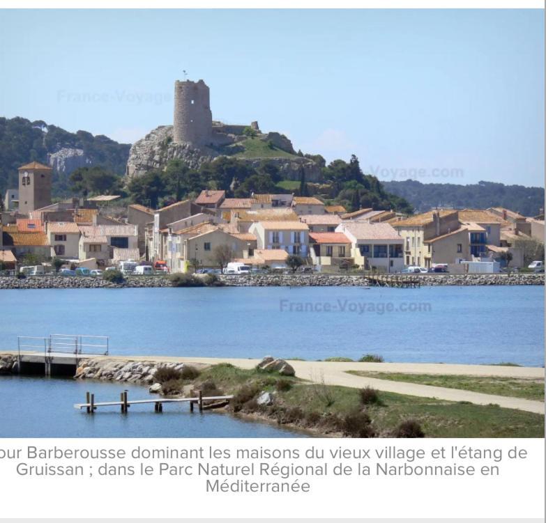 L Appart D Ange 1 Idealement Situe 37M2 Entre Port Et Village Gruissan Bagian luar foto
